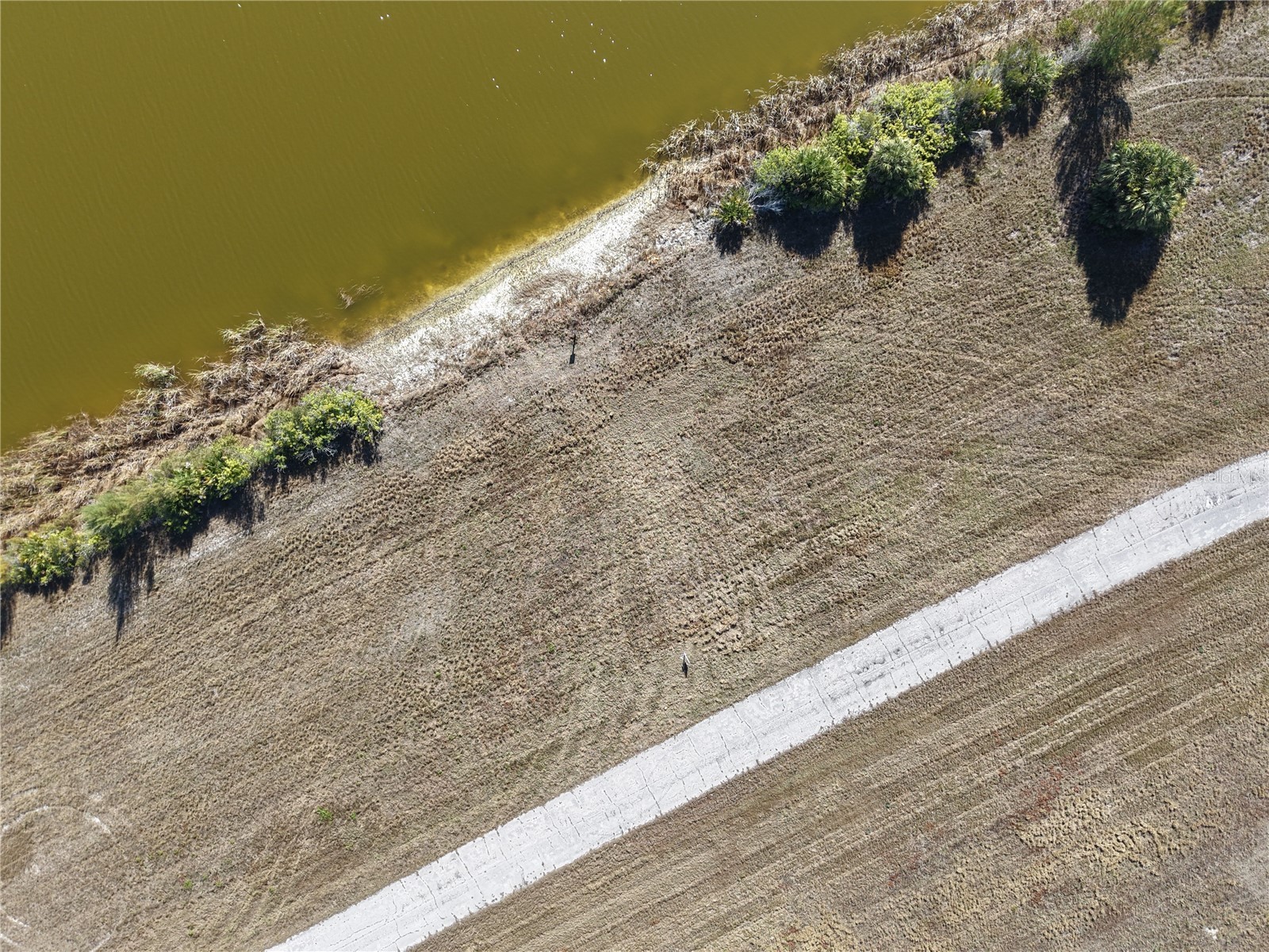 35 Thrush Drive Placida FL 33946 C7521949 image4