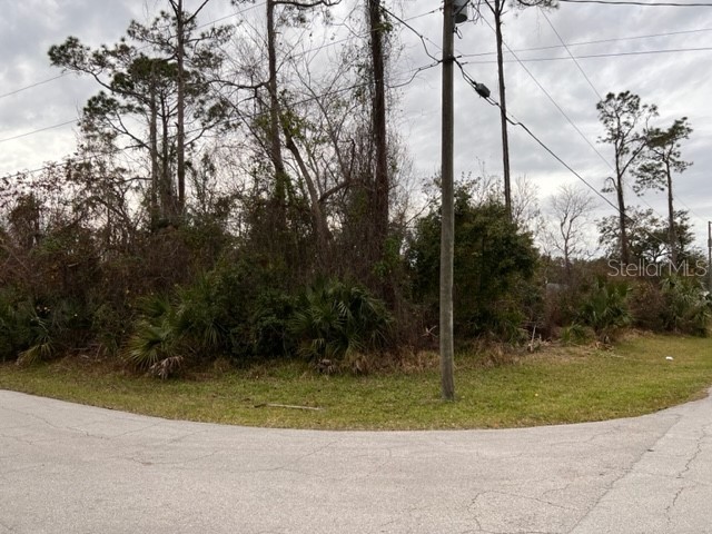 35 Zephyr Lily Trail Palm Coast FL 32164 FC288275 image1