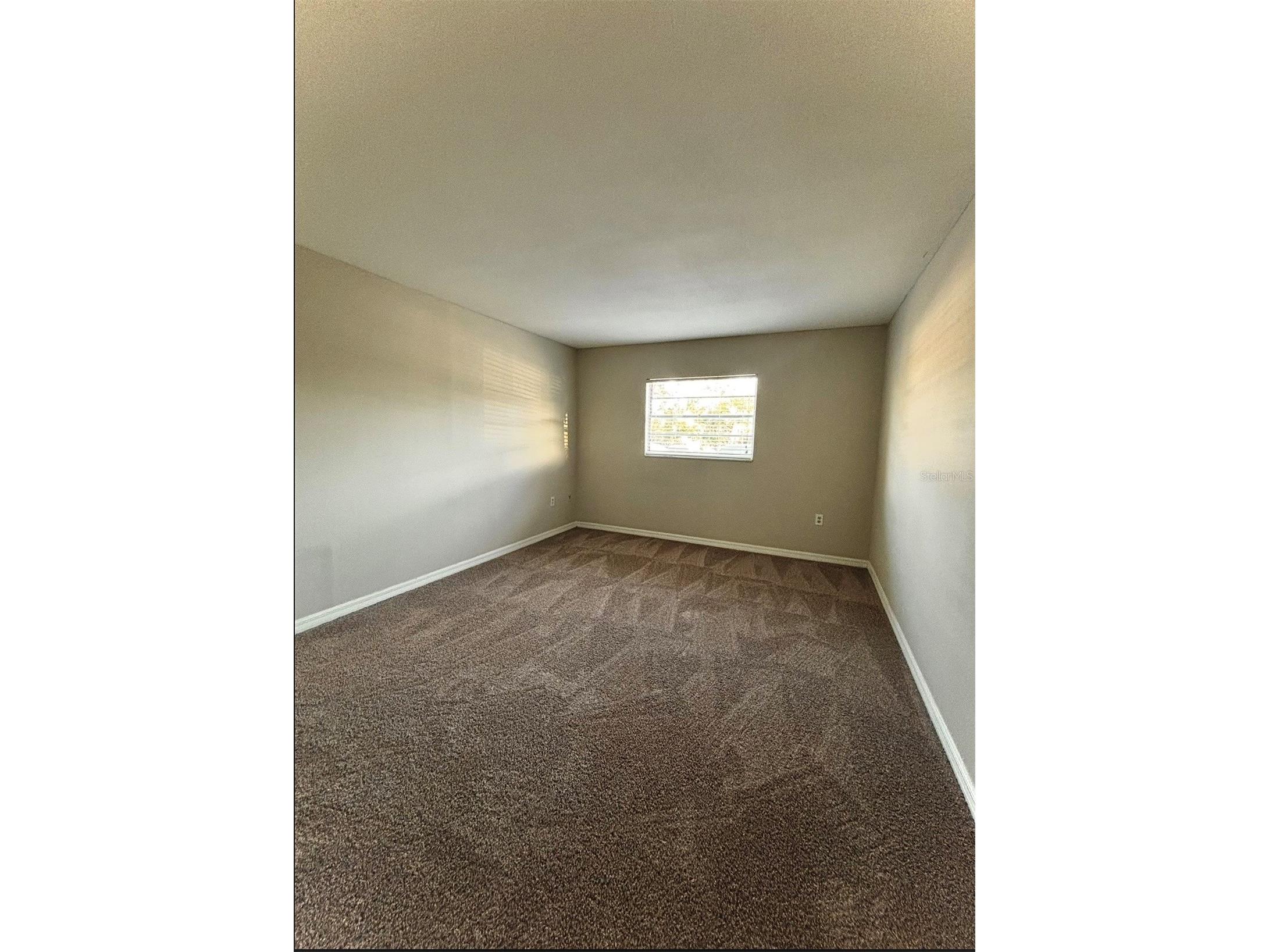 350 79th Avenue N #134 Saint Petersburg FL 33702 TB8498099 image14