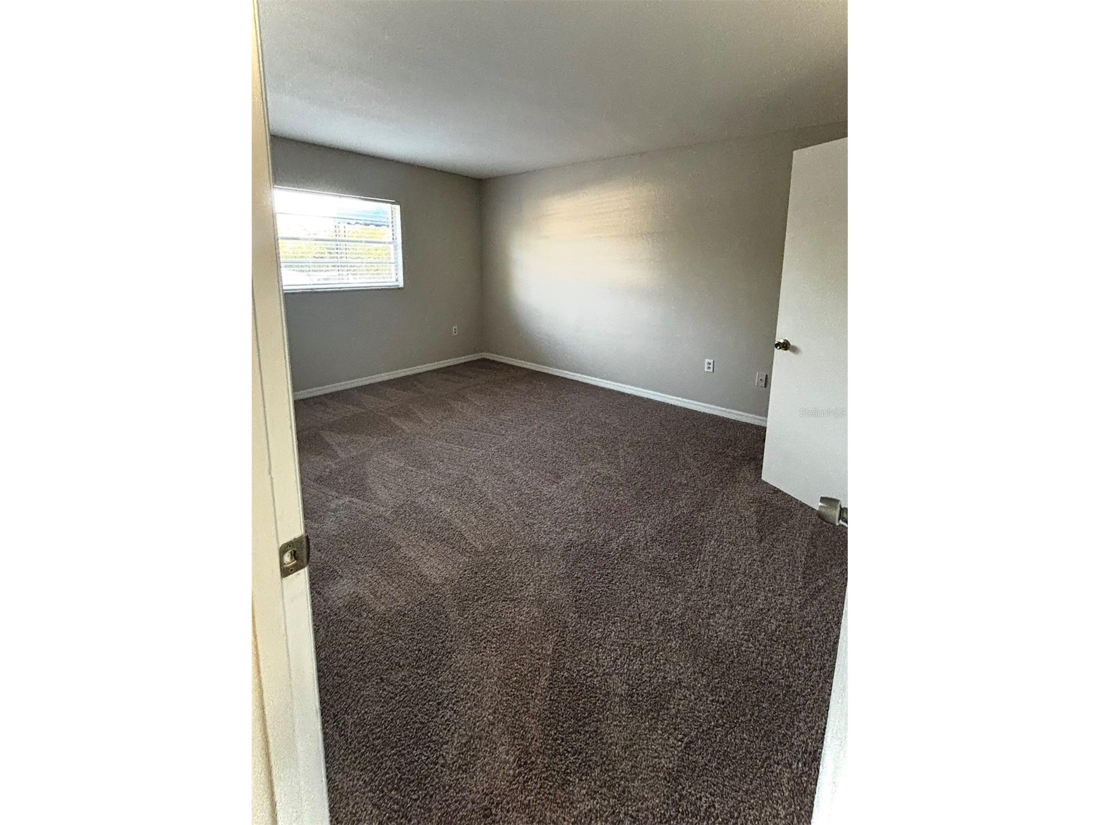 350 79th Avenue N #134 Saint Petersburg FL 33702 TB8498099 image15