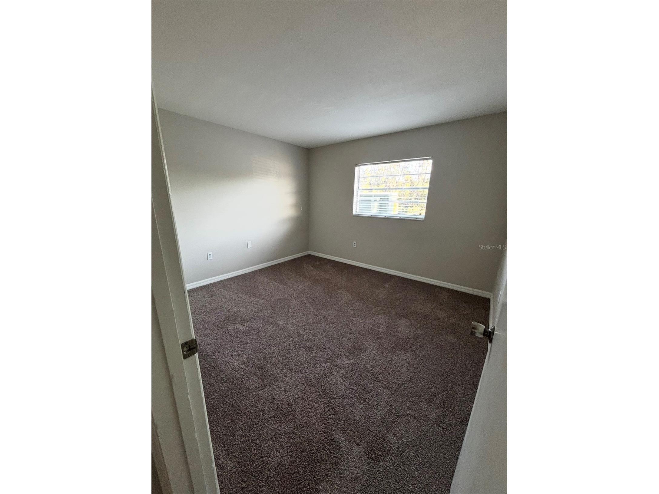 350 79th Avenue N #134 Saint Petersburg FL 33702 TB8498099 image22