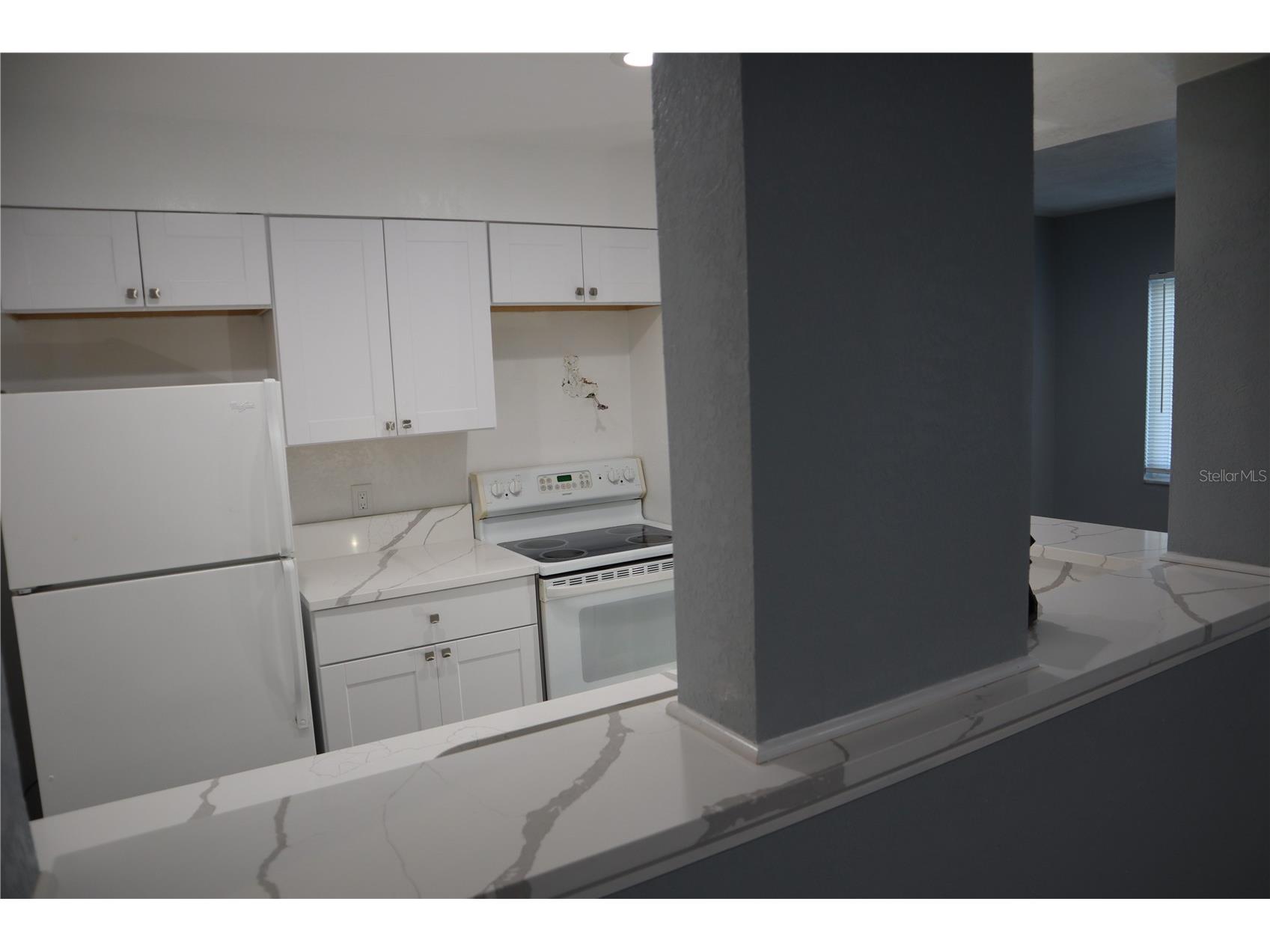 350 79th Avenue N #236 Saint Petersburg FL 33702 TB8420006 image8