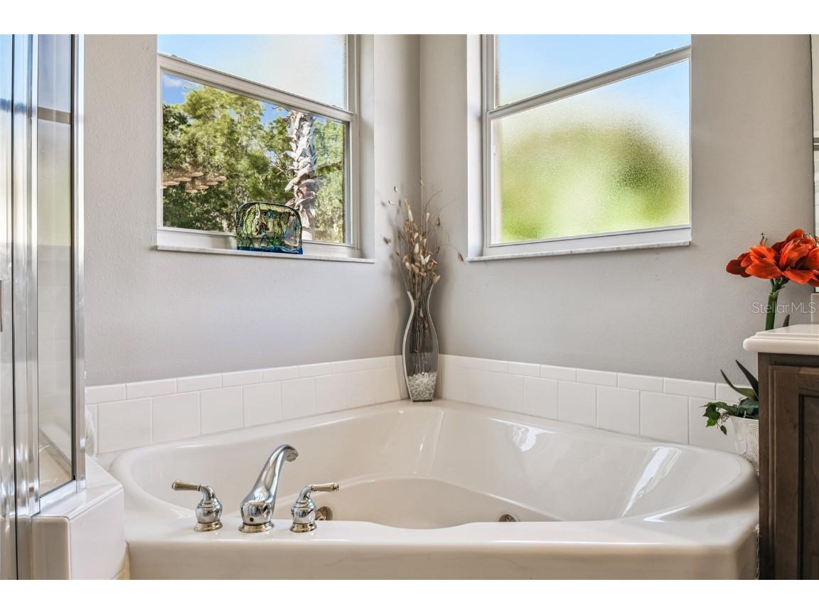 350 Balboa Drive Kissimmee FL 34759 S5113971 image29