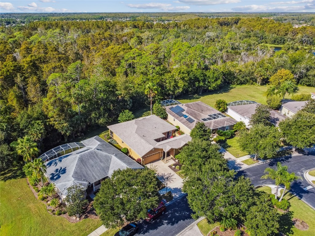 350 Balboa Drive Kissimmee FL 34759 S5113971 image65