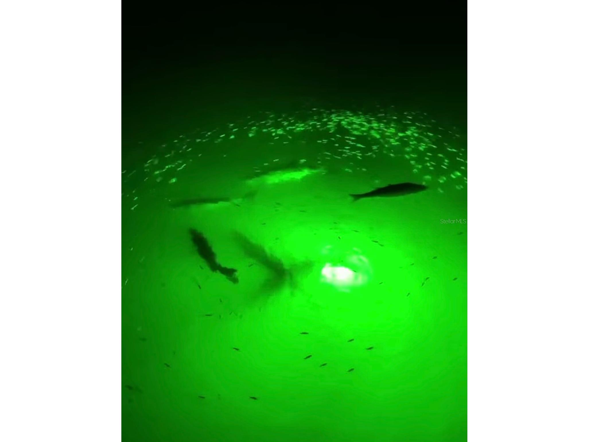 350 Belvedere Court Punta Gorda FL 33950 C7517372 image56