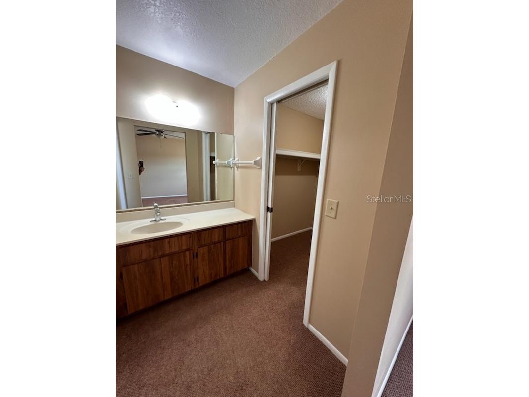 350 Buttonwood Drive Kissimmee FL 34743 S5149545 image16