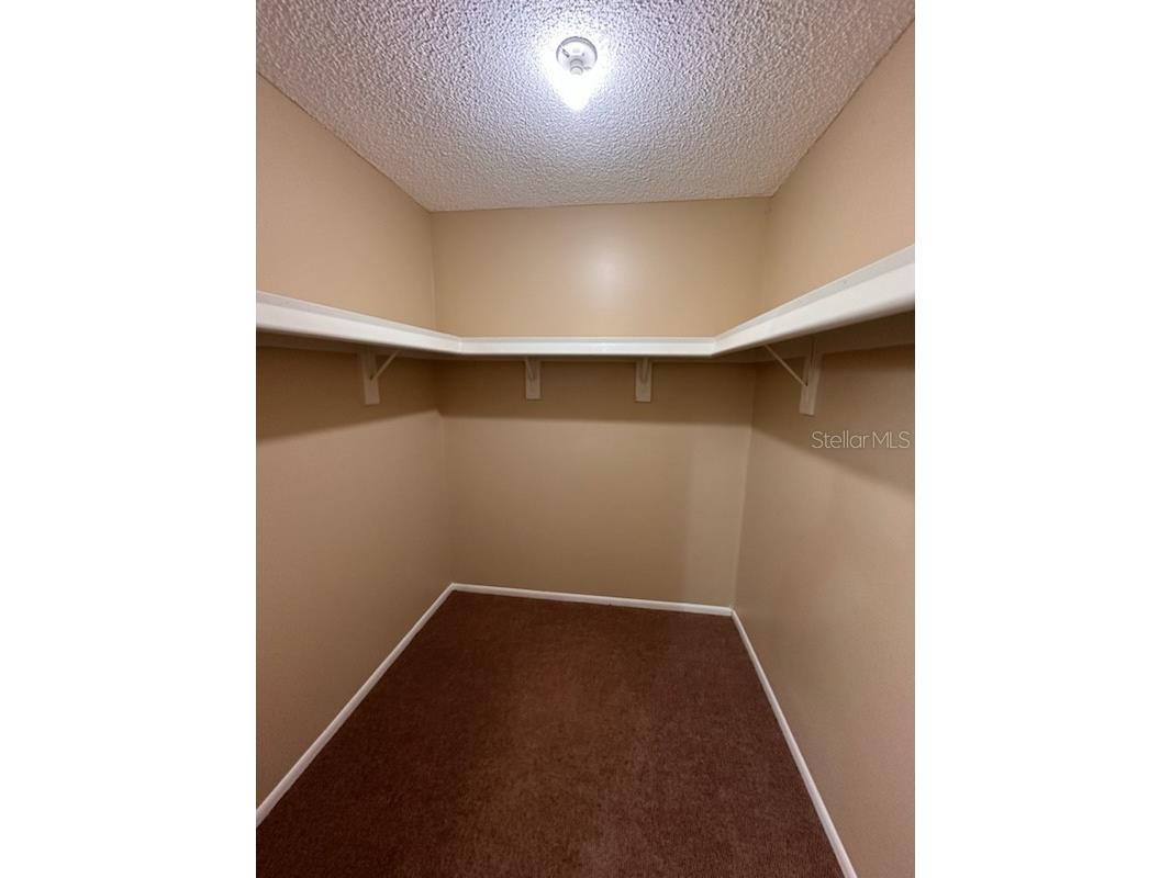 350 Buttonwood Drive Kissimmee FL 34743 S5149545 image18