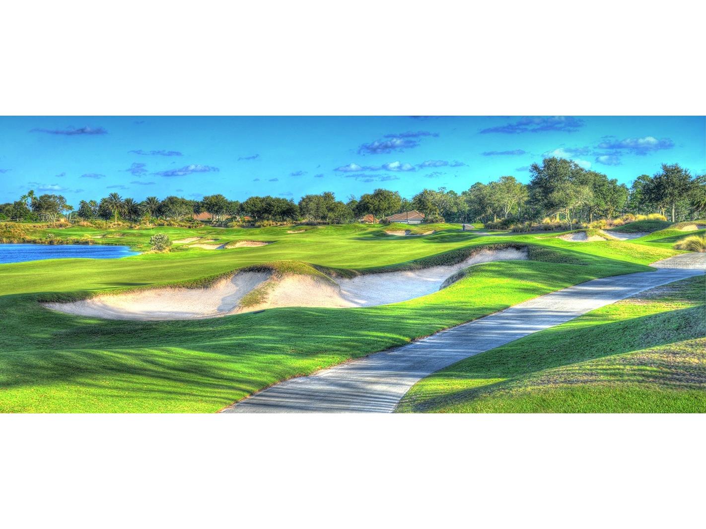 350 Hibiscus Way Palm Coast FL 32137 TB8437187 image5