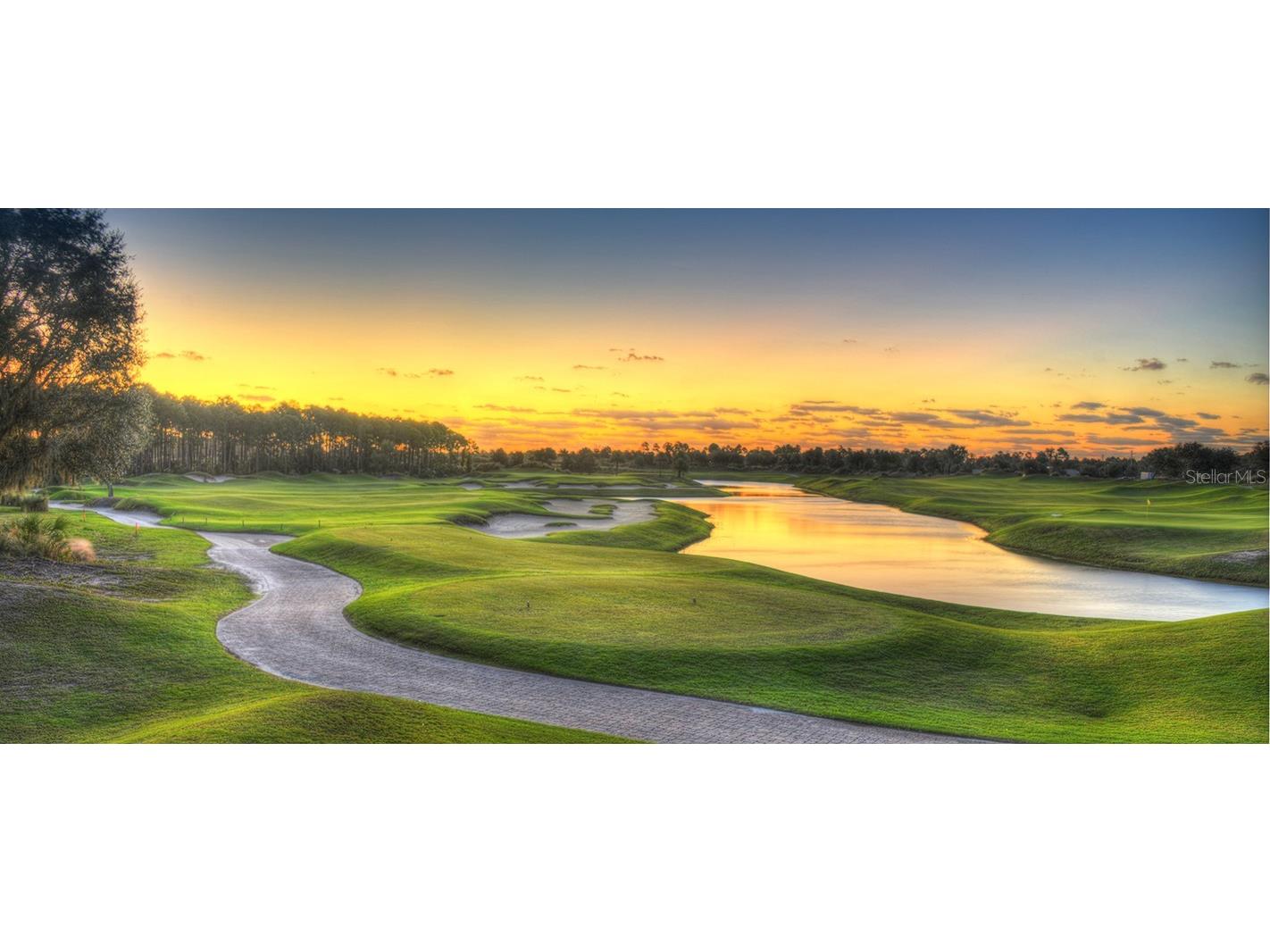 350 Hibiscus Way Palm Coast FL 32137 TB8437187 image6