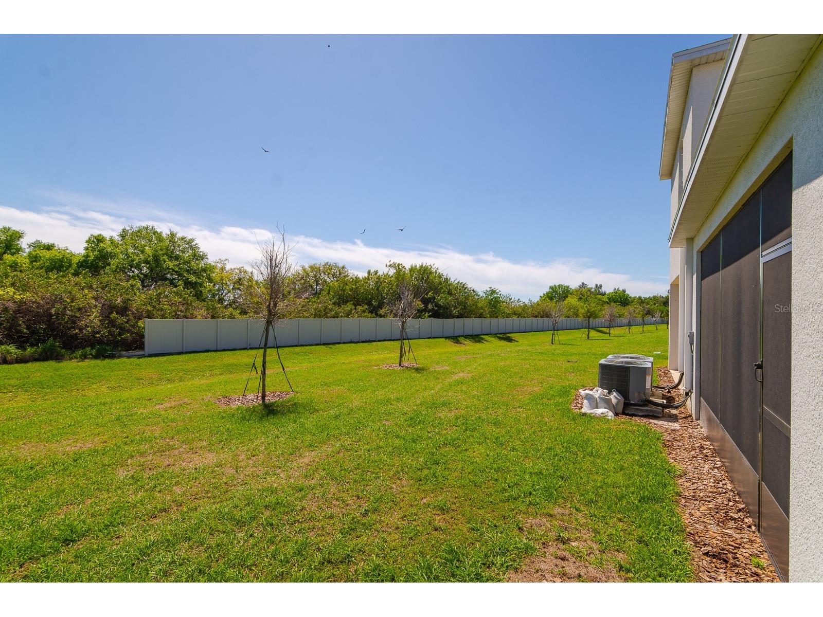 350 Mangrove Shade Circle Apollo Beach FL 33572 TB8488834 image31