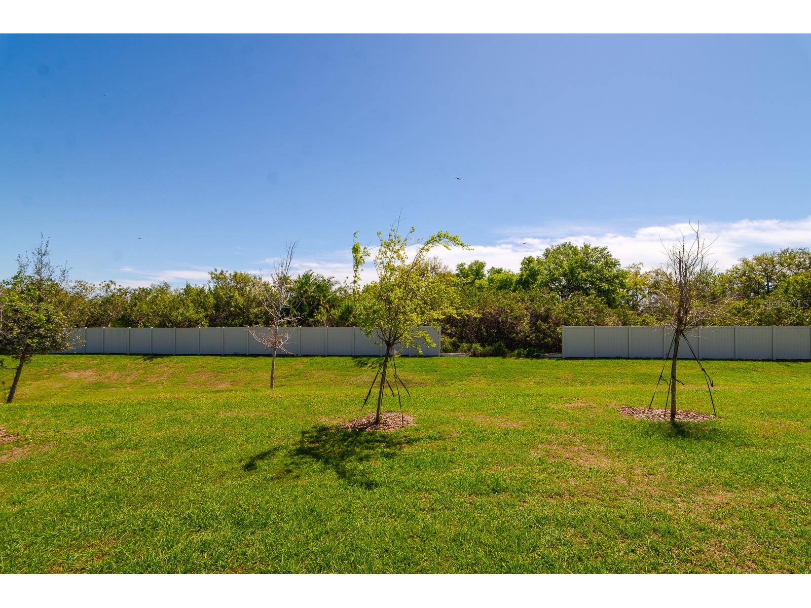 350 Mangrove Shade Circle Apollo Beach FL 33572 TB8488834 image32