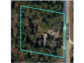 350 NE 139th Terrace Williston FL 32696 OM679158 image1