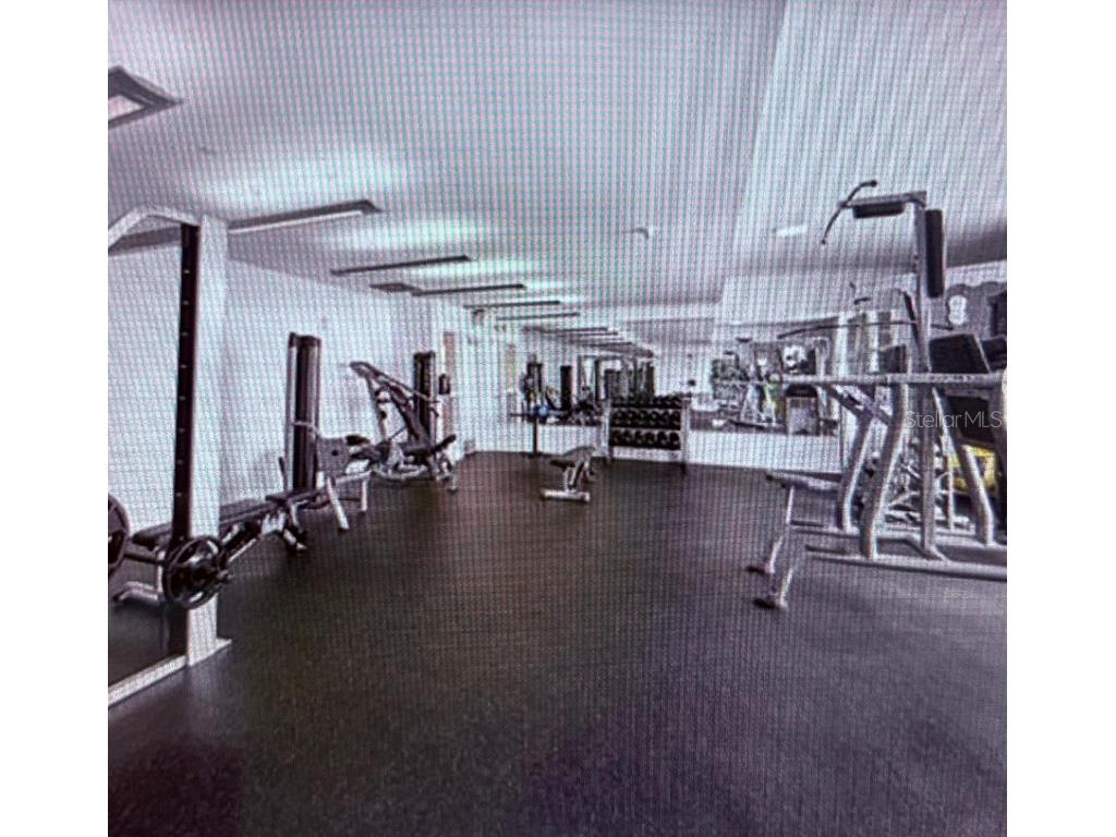 350 NE 24th Street #514 Miami FL 33137 GC534932 image7
