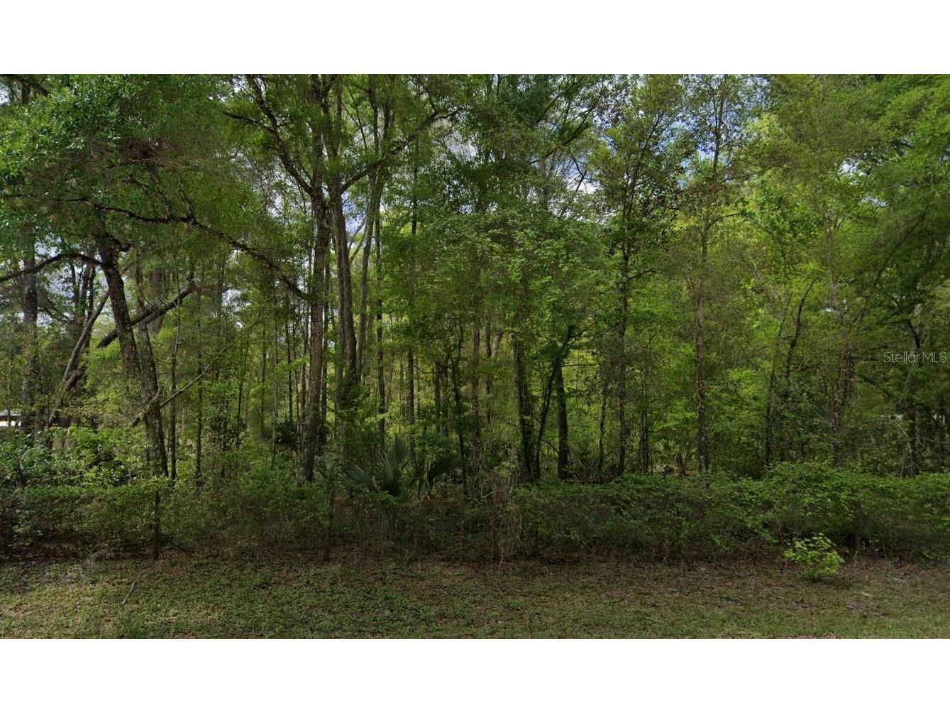 350 NE 644th Street Old Town FL 32680 A4695859 image2