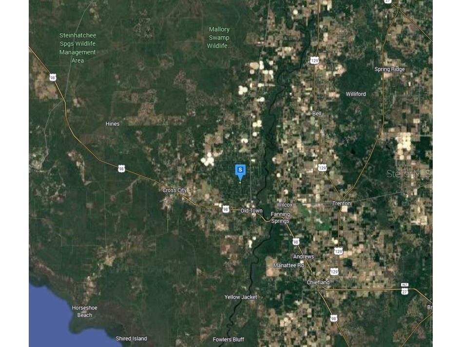 350 NE 644th Street Old Town FL 32680 A4695859 image5