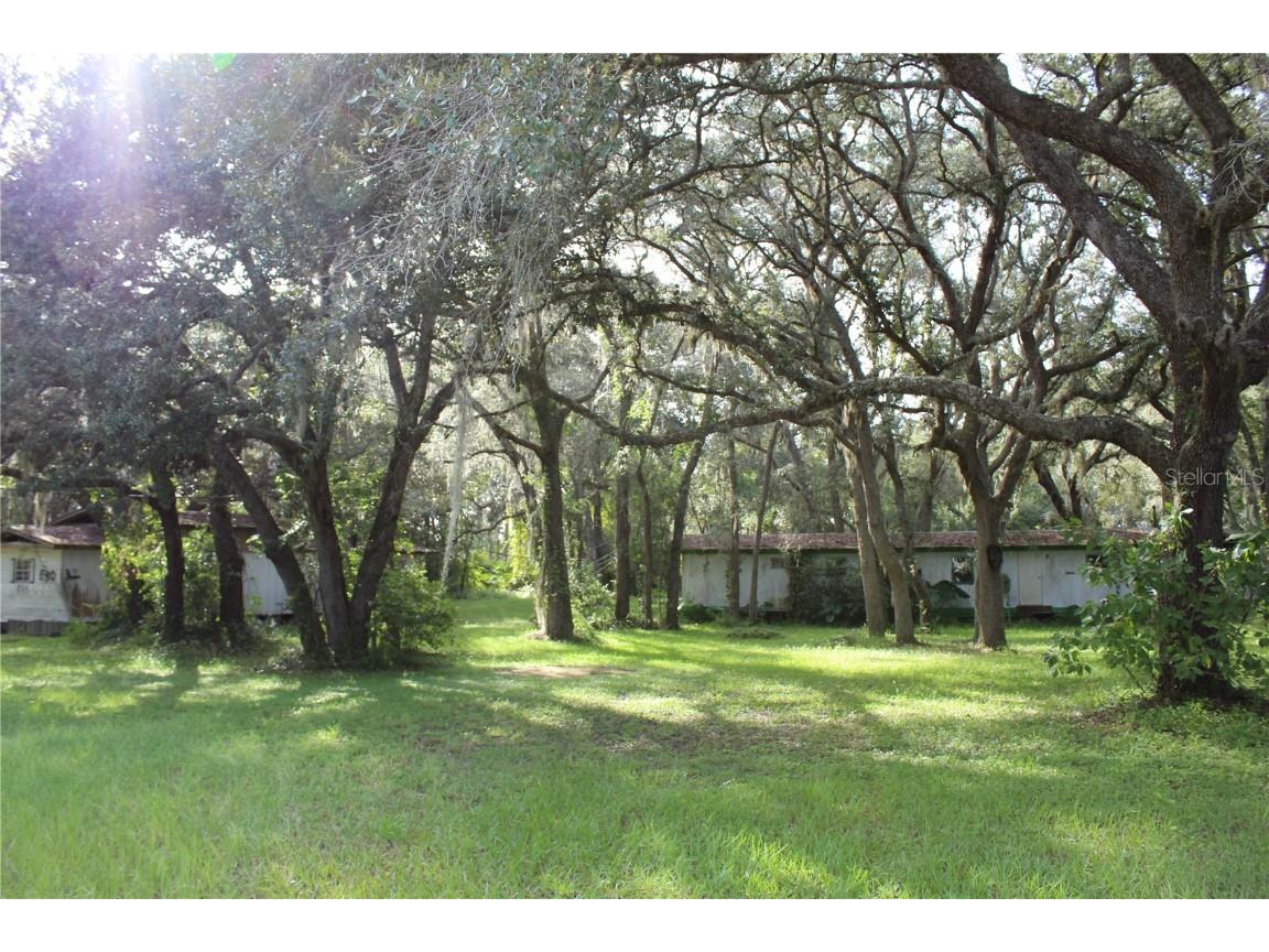 350 Purdom Cemetery Road Pierson FL 32180 V4931742 image1