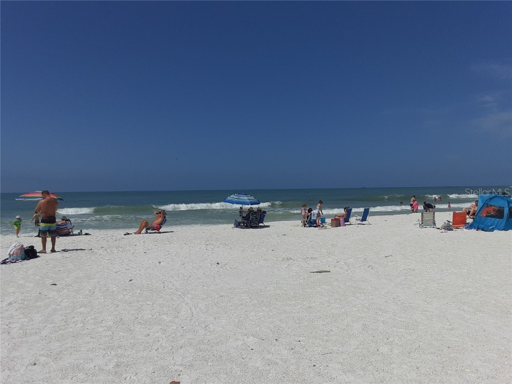 350 S Polk Drive #207 Sarasota FL 34236 A4549916 image22