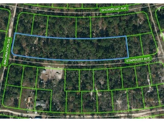 350 Stardust Avenue Lake Placid FL 33852 OM620811 image1