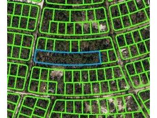 350 Stardust Avenue Lake Placid FL 33852 OM620811 image2