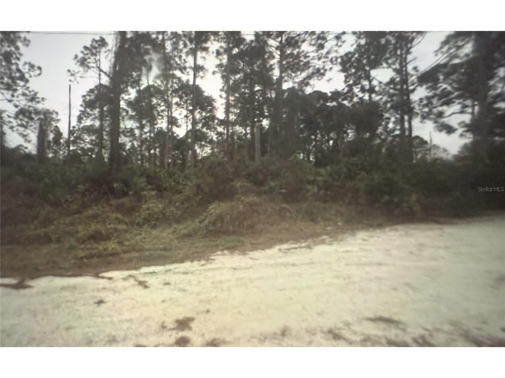 350 Tern Avenue Sebring FL 33870 TB8525594 image3
