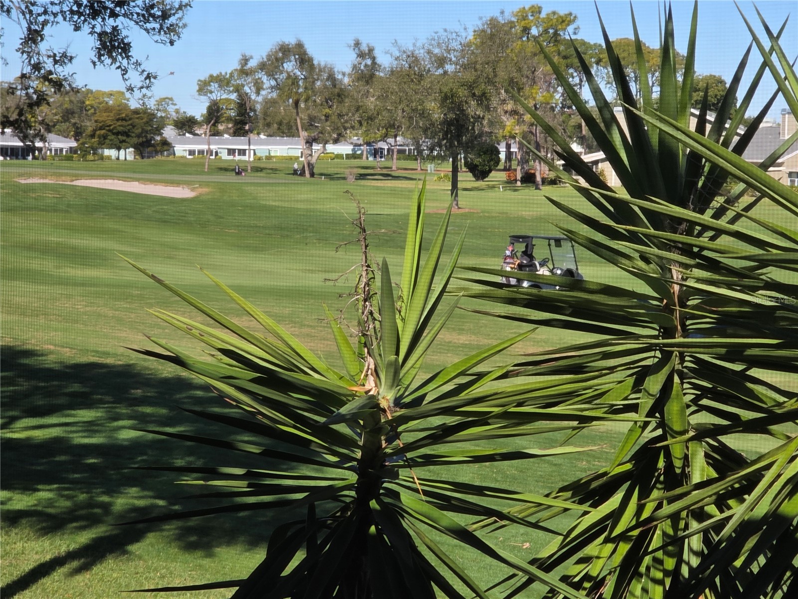 3500 El Conquistador Parkway #260 Bradenton FL 34210 A4679016 image6