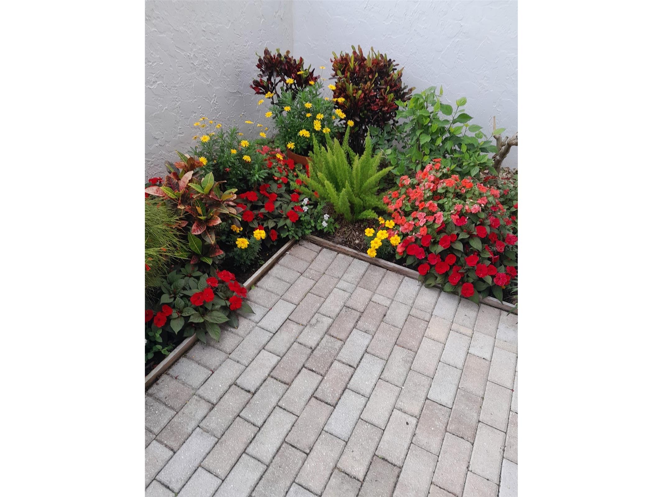 3500 El Conquistador Parkway #357 Bradenton FL 34210 A4672873 image38