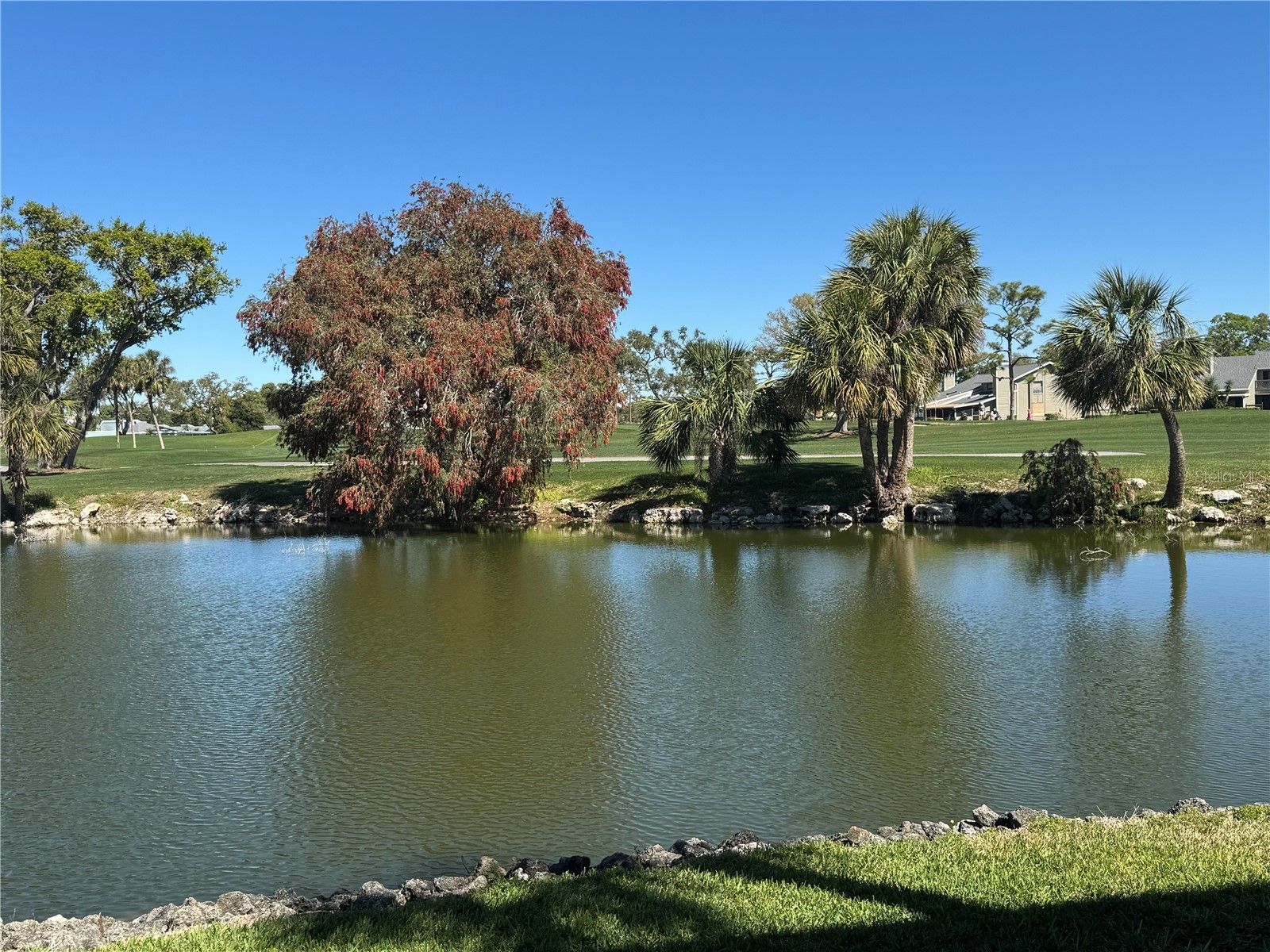 3500 El Conquistador Parkway #357 Bradenton FL 34210 A4672873 image46