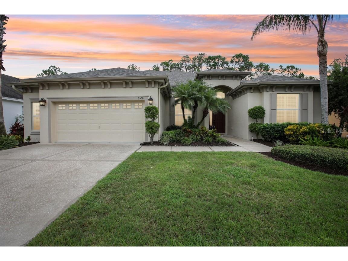 3500 Grassglen Place Wesley Chapel FL 33544 A4663351 image1