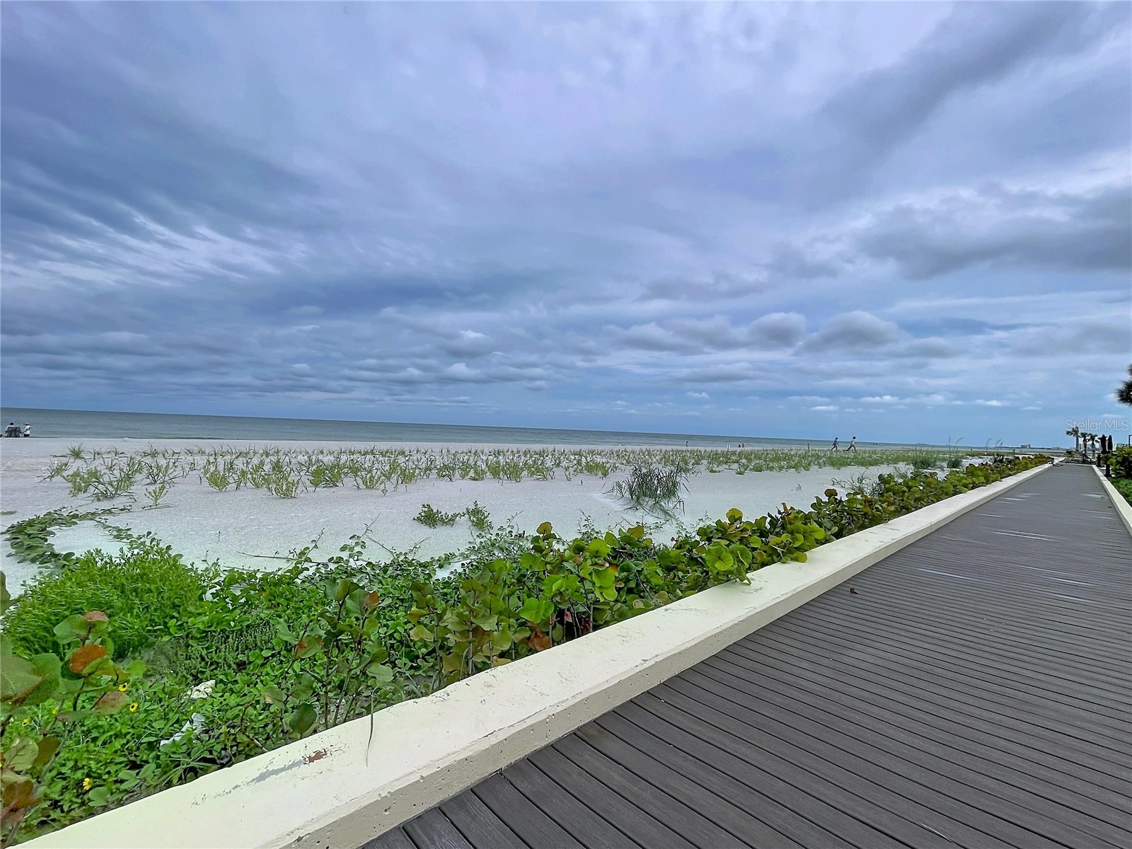 3500 Gulf Boulevard #203 Belleair Beach FL 33786 - GULF OF AMERICA TB8512923 image51