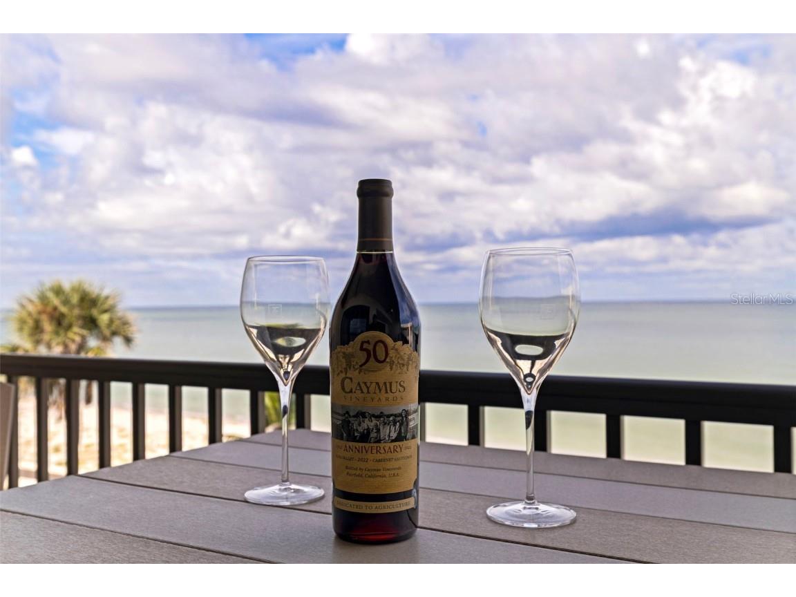 3500 Gulf Boulevard #412 Belleair Beach FL 33786 TB8429252 image1