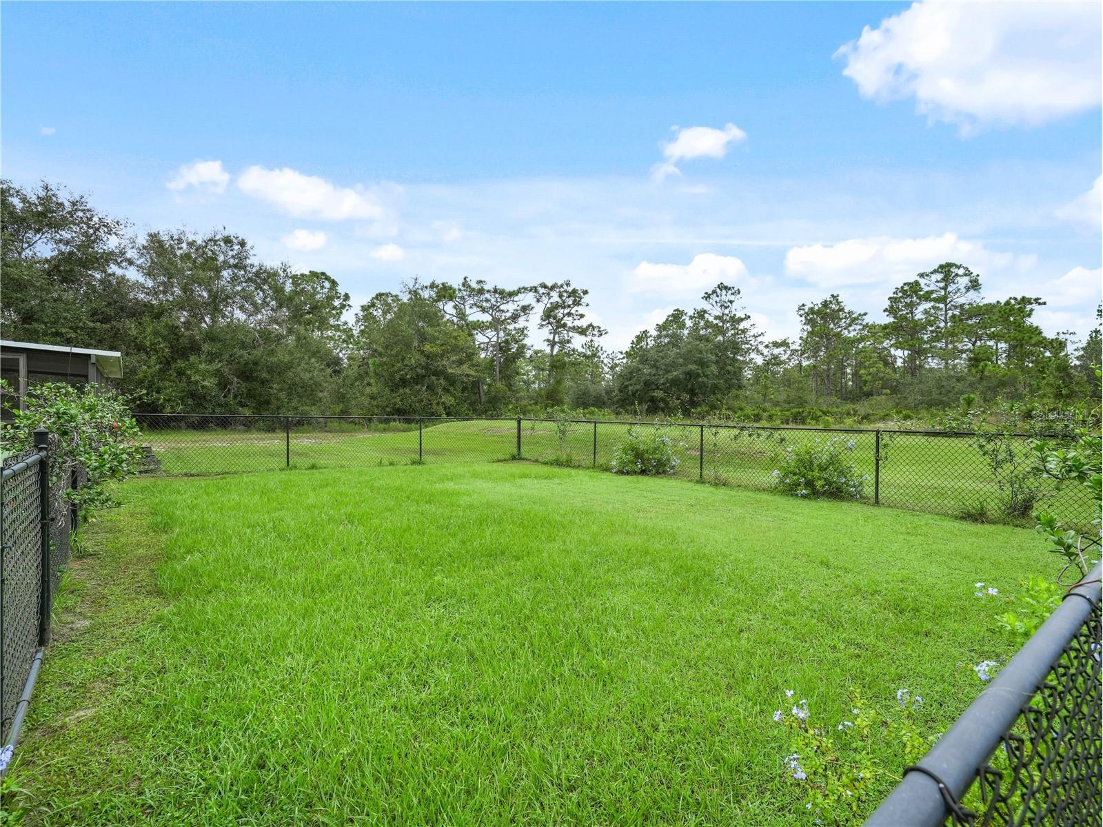 3500 Hibiscus Drive Indian Lake Estates FL 33855 - WALK IN WATER P4939270 image32