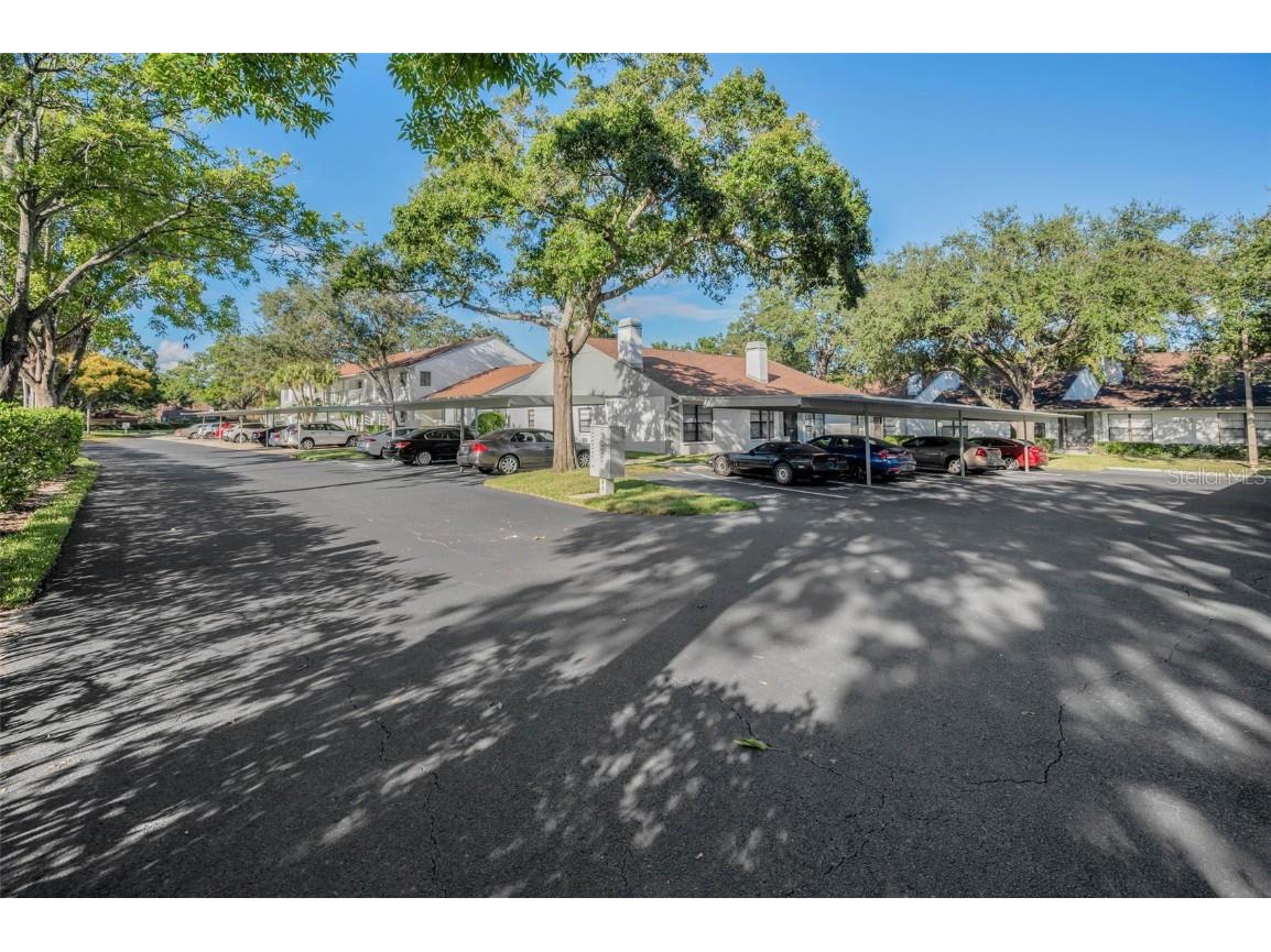 3500 Magnolia Ridge Circle #405 Palm Harbor FL 34684 TB8389180 image2