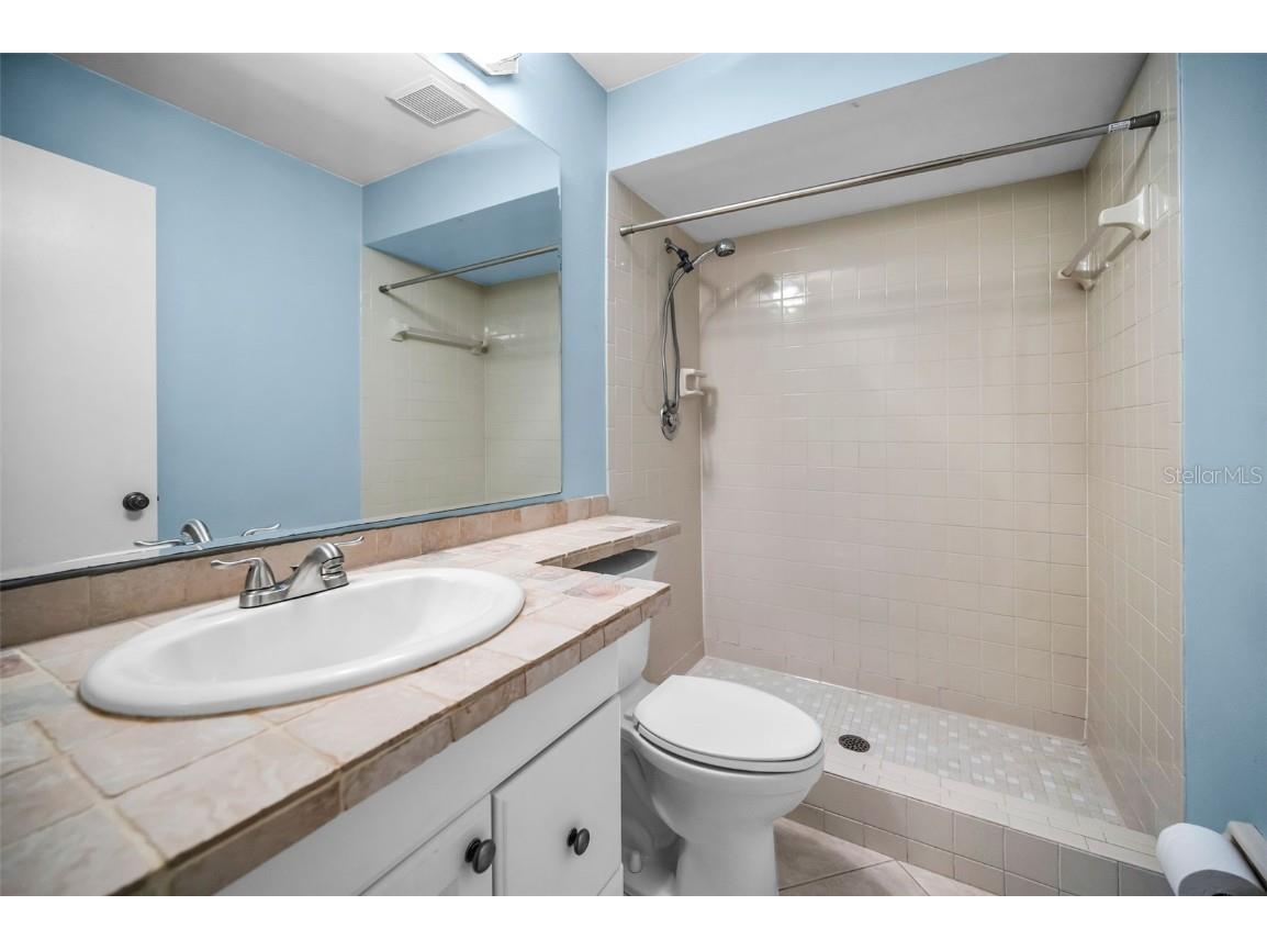 3500 Magnolia Ridge Circle #405 Palm Harbor FL 34684 TB8389180 image32