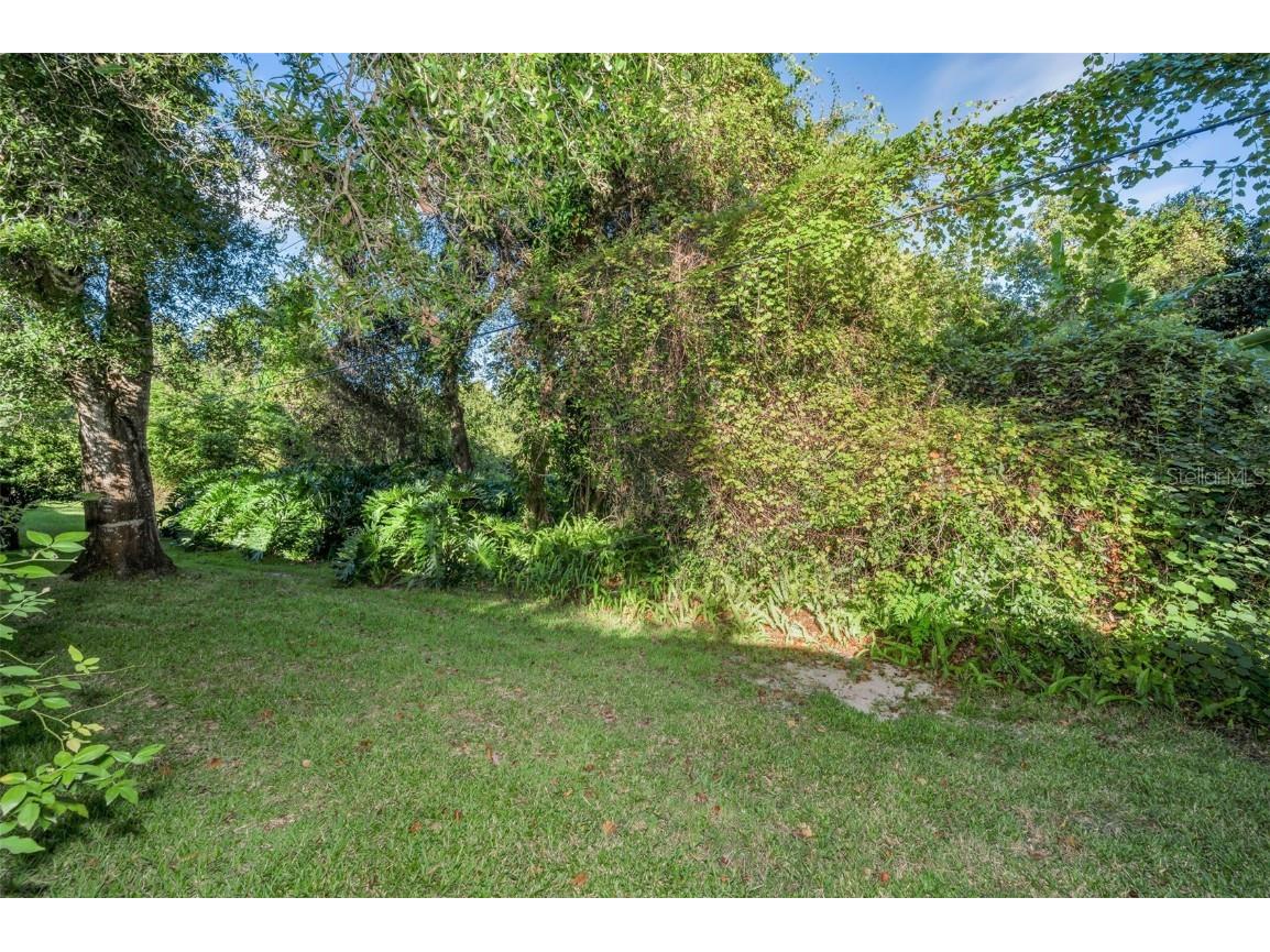 3500 Magnolia Ridge Circle #405 Palm Harbor FL 34684 TB8389180 image41