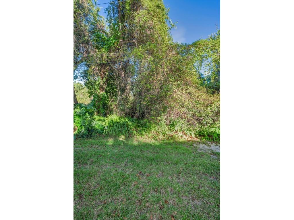 3500 Magnolia Ridge Circle #405 Palm Harbor FL 34684 TB8389180 image42