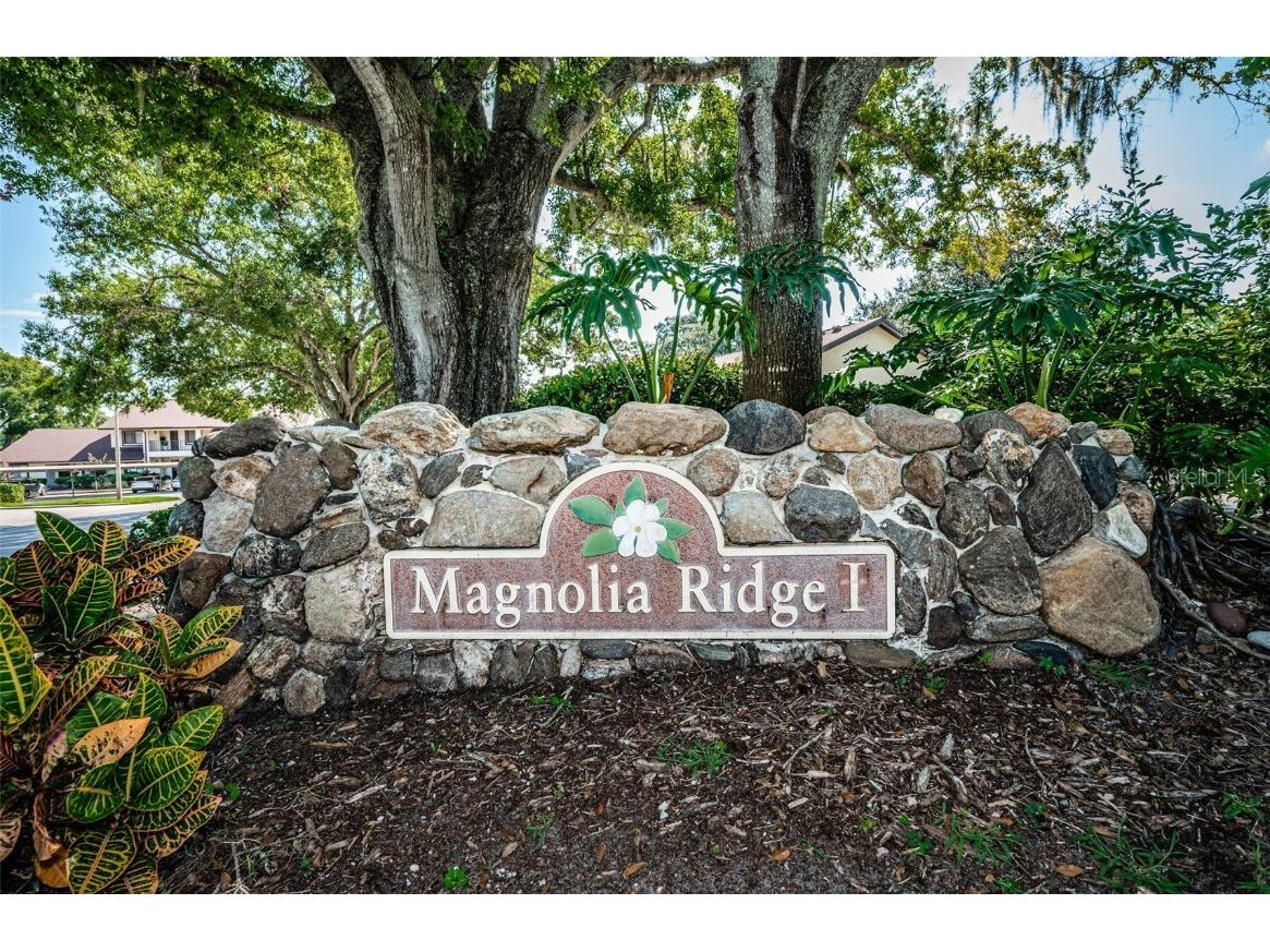 3500 Magnolia Ridge Circle #405 Palm Harbor FL 34684 TB8389180 image48
