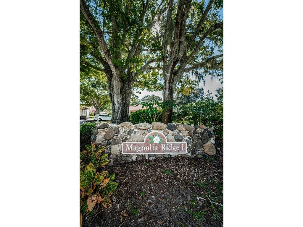 3500 Magnolia Ridge Circle #405 Palm Harbor FL 34684 TB8389180 image49