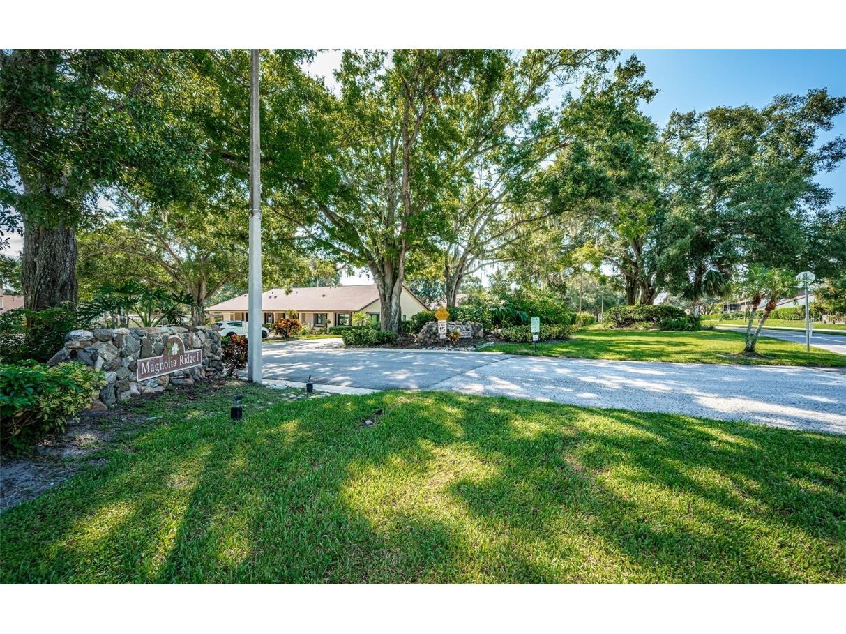 3500 Magnolia Ridge Circle #405 Palm Harbor FL 34684 TB8389180 image50