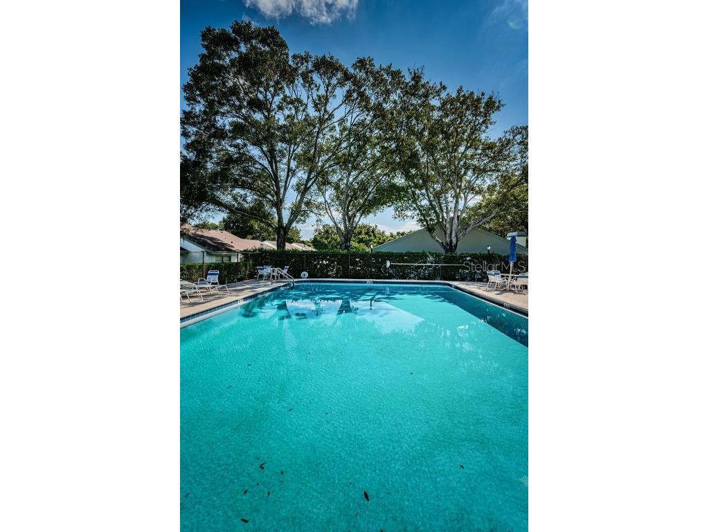 3500 Magnolia Ridge Circle #405 Palm Harbor FL 34684 TB8389180 image53