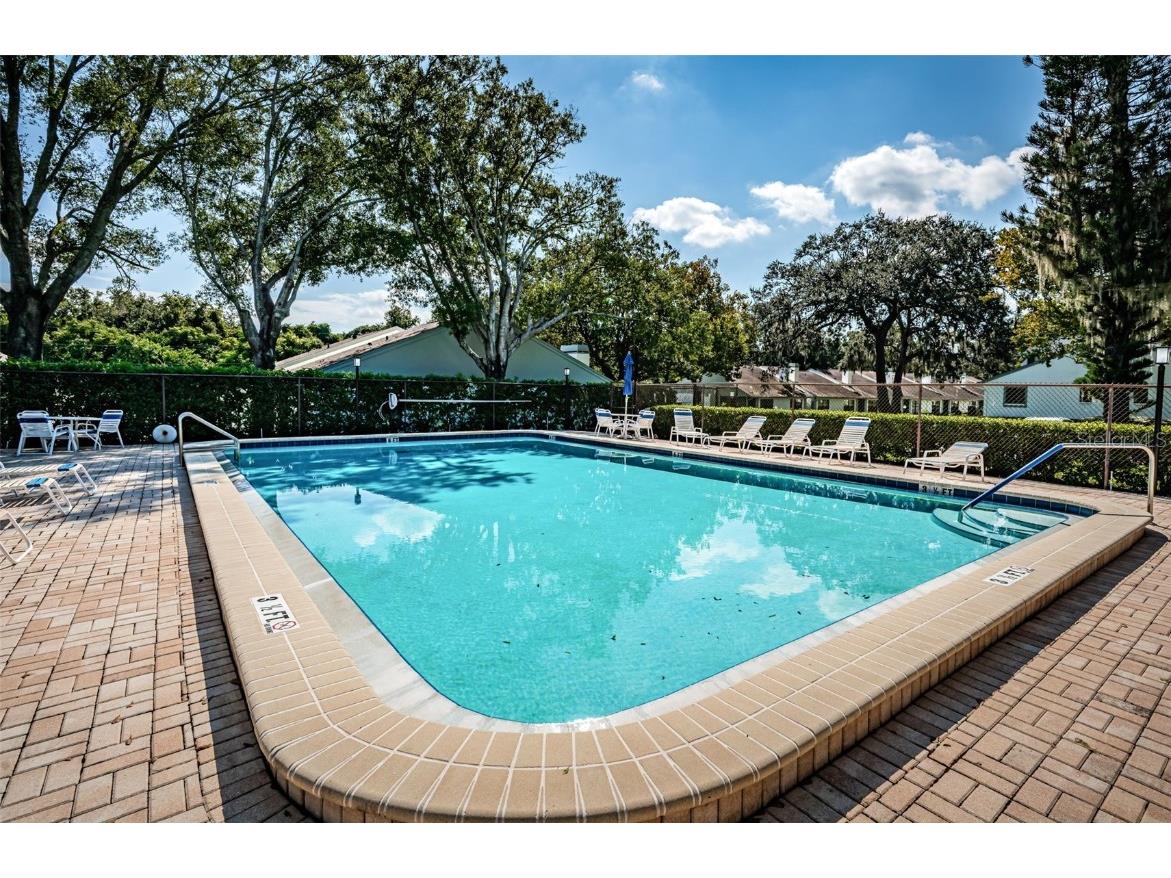 3500 Magnolia Ridge Circle #405 Palm Harbor FL 34684 TB8389180 image54