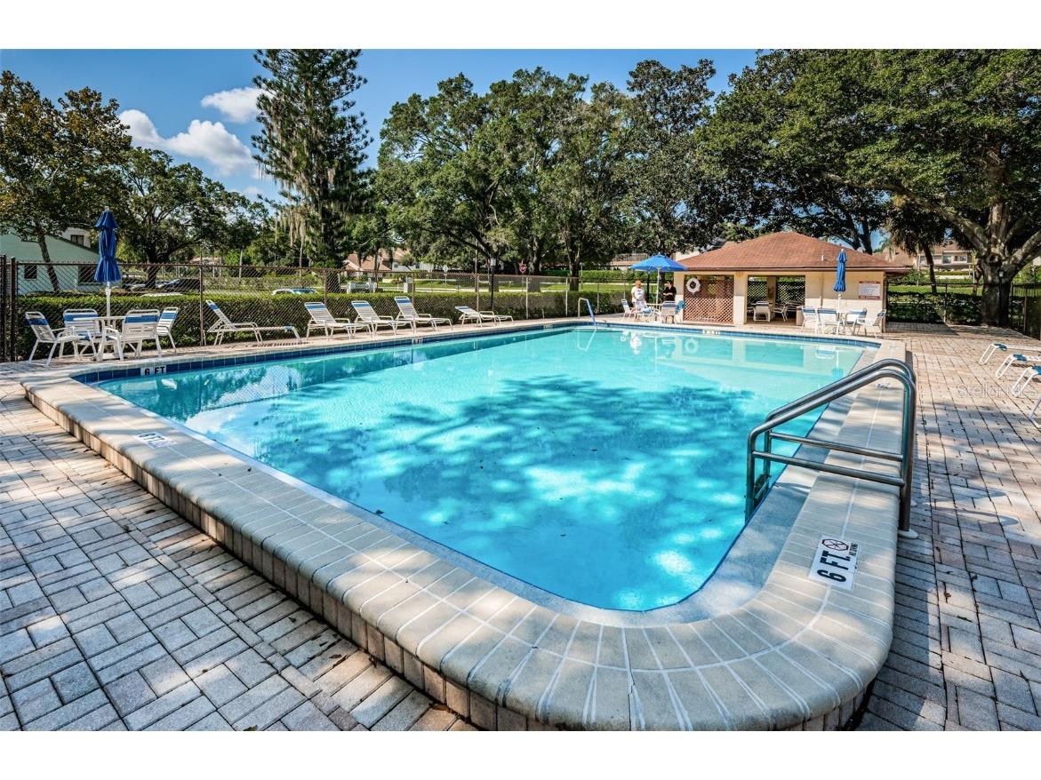 3500 Magnolia Ridge Circle #405 Palm Harbor FL 34684 TB8389180 image55