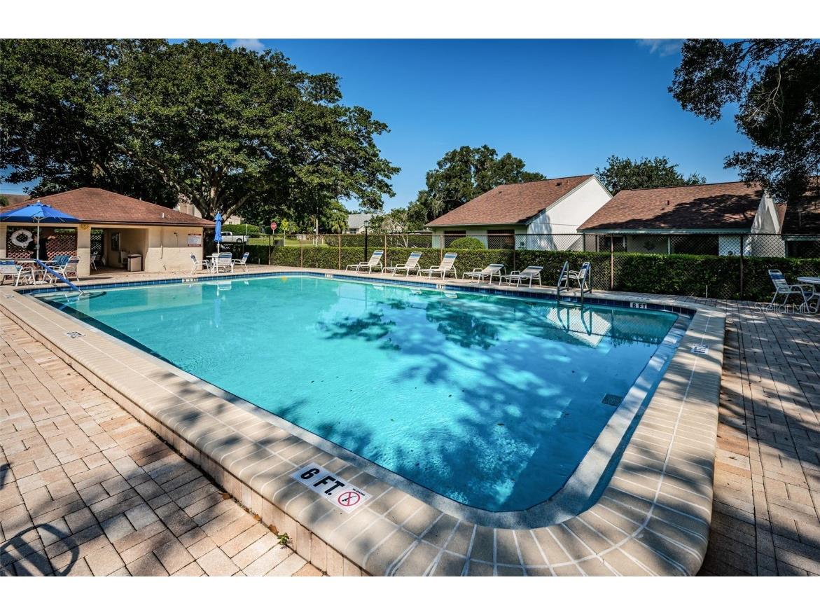 3500 Magnolia Ridge Circle #405 Palm Harbor FL 34684 TB8389180 image57