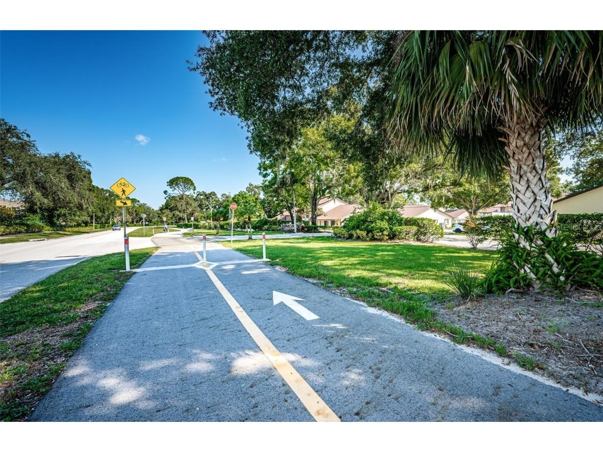 3500 Magnolia Ridge Circle #405 Palm Harbor FL 34684 TB8389180 image58