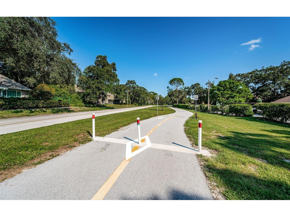 3500 Magnolia Ridge Circle #405 Palm Harbor FL 34684 TB8389180 image59
