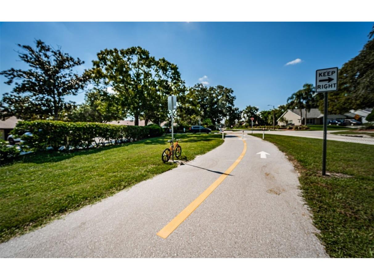 3500 Magnolia Ridge Circle #405 Palm Harbor FL 34684 TB8389180 image60