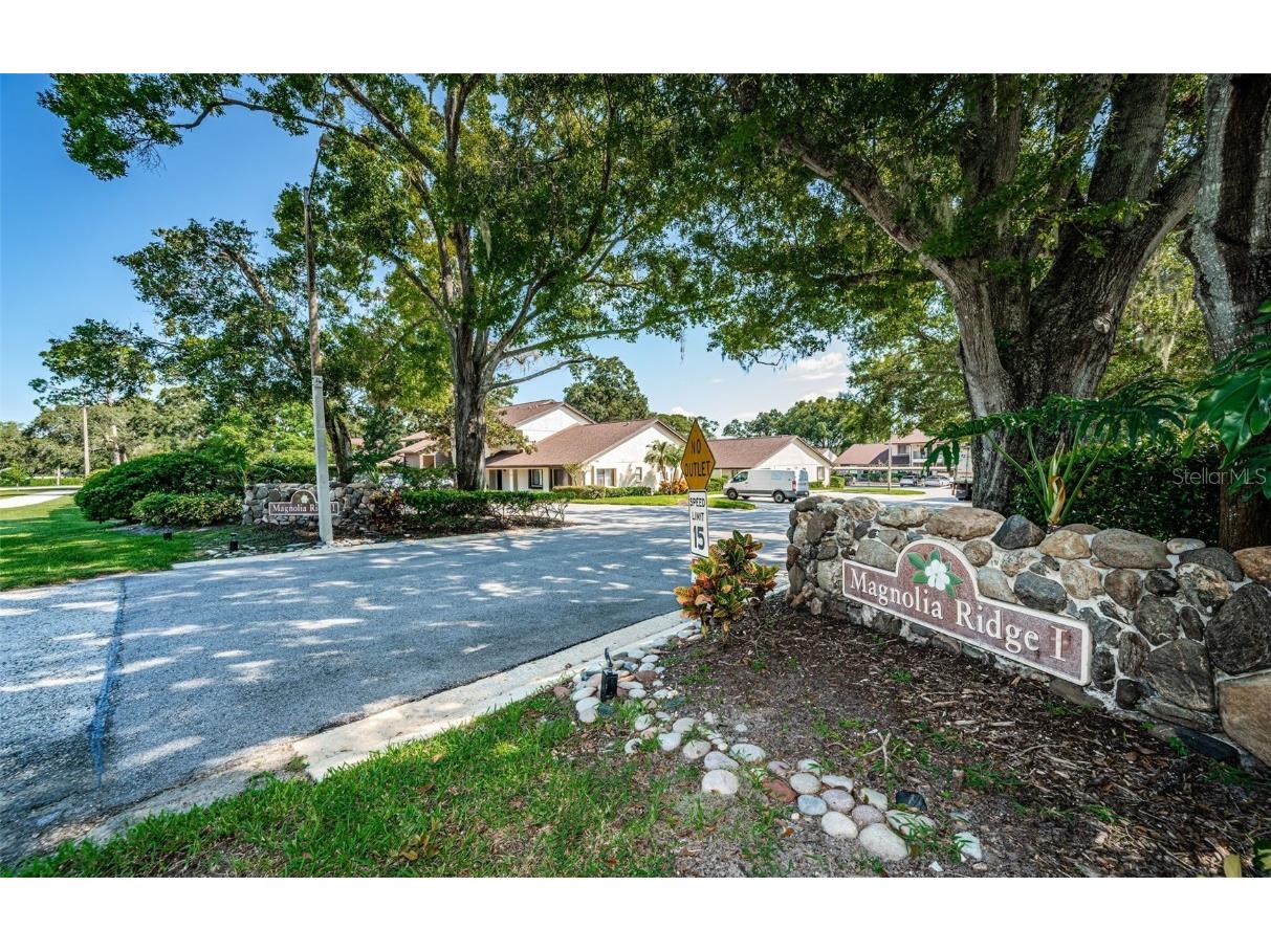 3500 Magnolia Ridge Circle #405 Palm Harbor FL 34684 TB8389180 image61