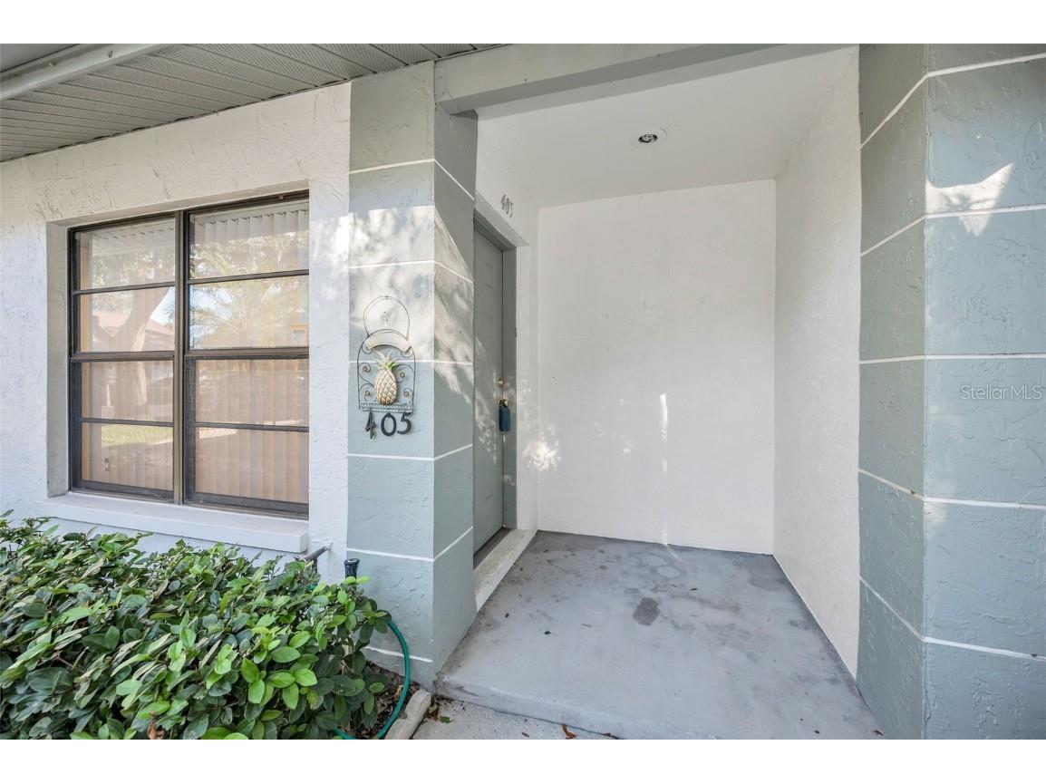 3500 Magnolia Ridge Circle #405 Palm Harbor FL 34684 TB8389180 image8