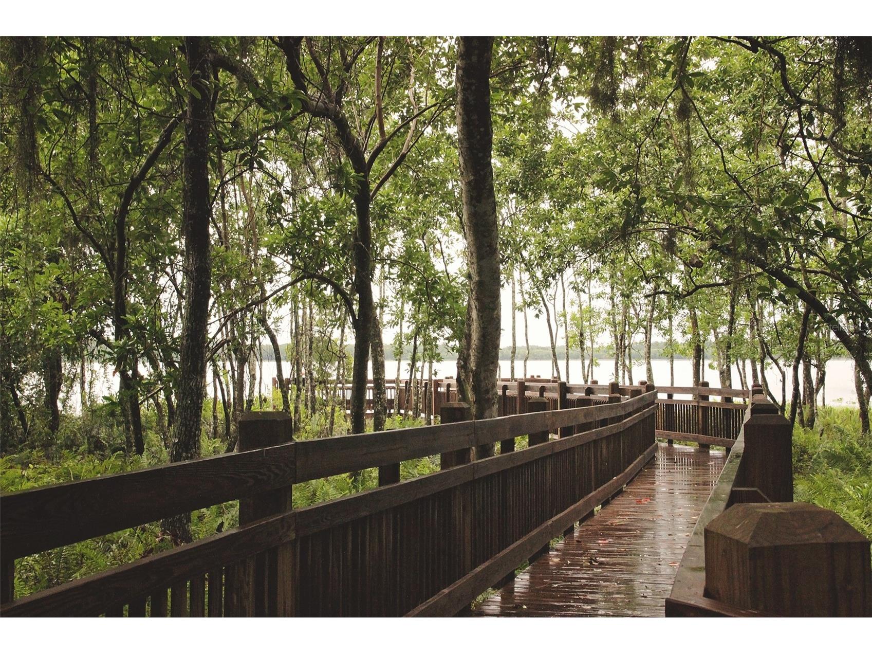 3500 Sebastian Bridge Lane Saint Cloud FL 34773 - CAT LAKE & BUCK LAKE S5142052 image55