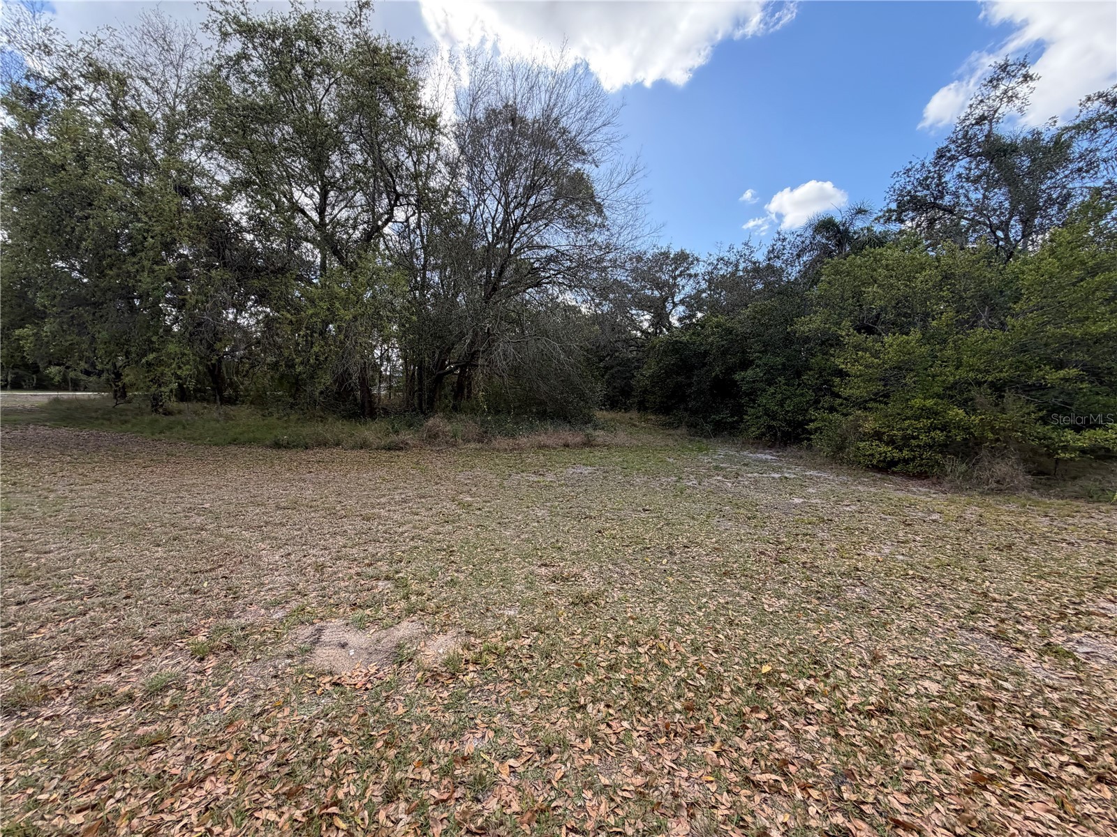 3500 Sebring Parkway Sebring FL 33870 L4960298 image10
