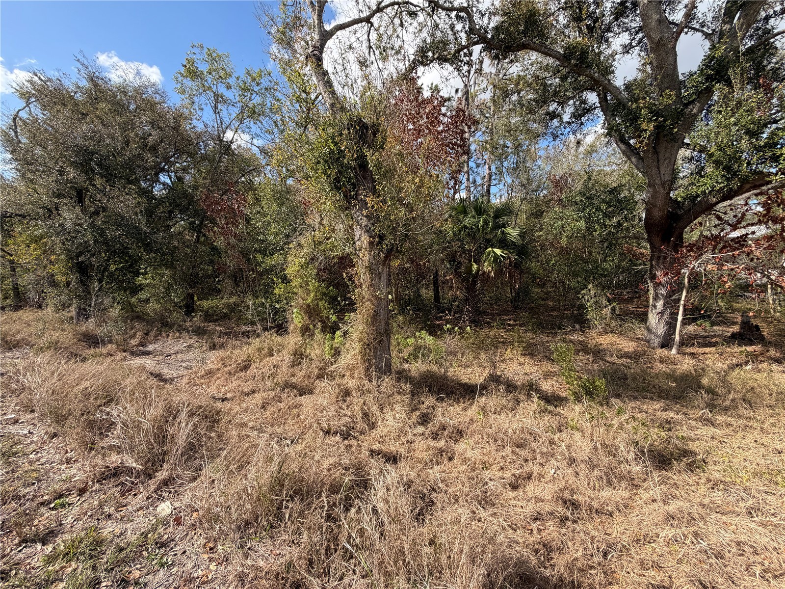 3500 Sebring Parkway Sebring FL 33870 L4960298 image6
